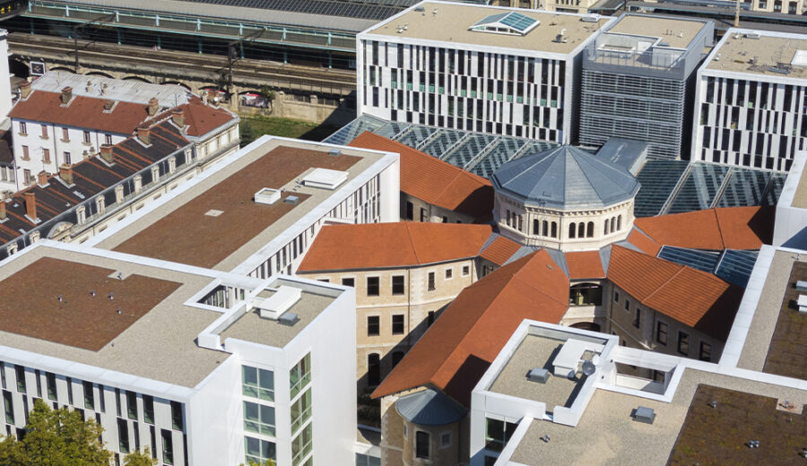 New Double Degree Partnership with ESDES Business and Management School