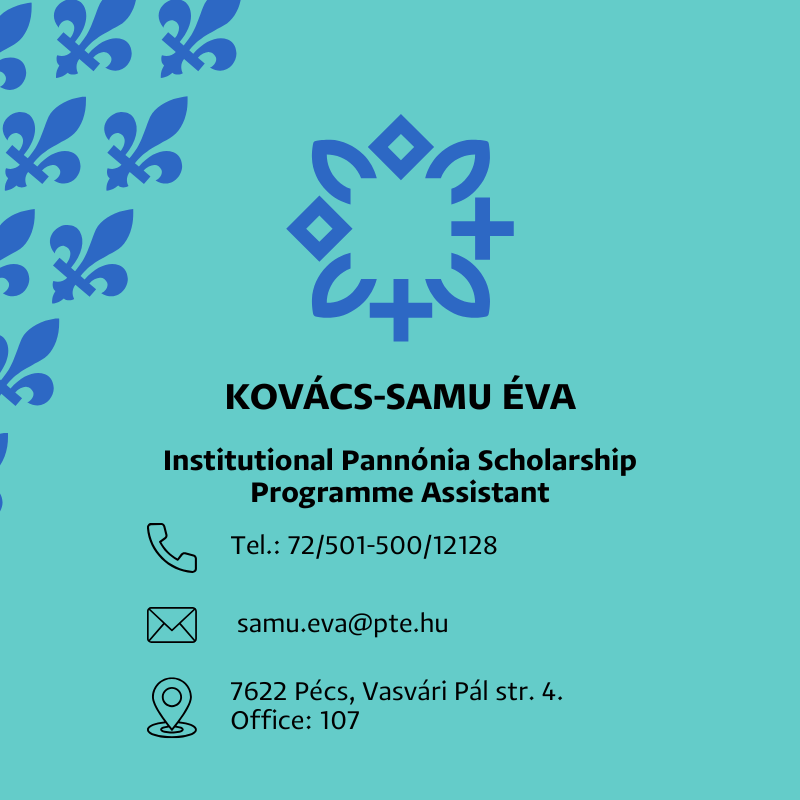 Outgoing long-term mobilities