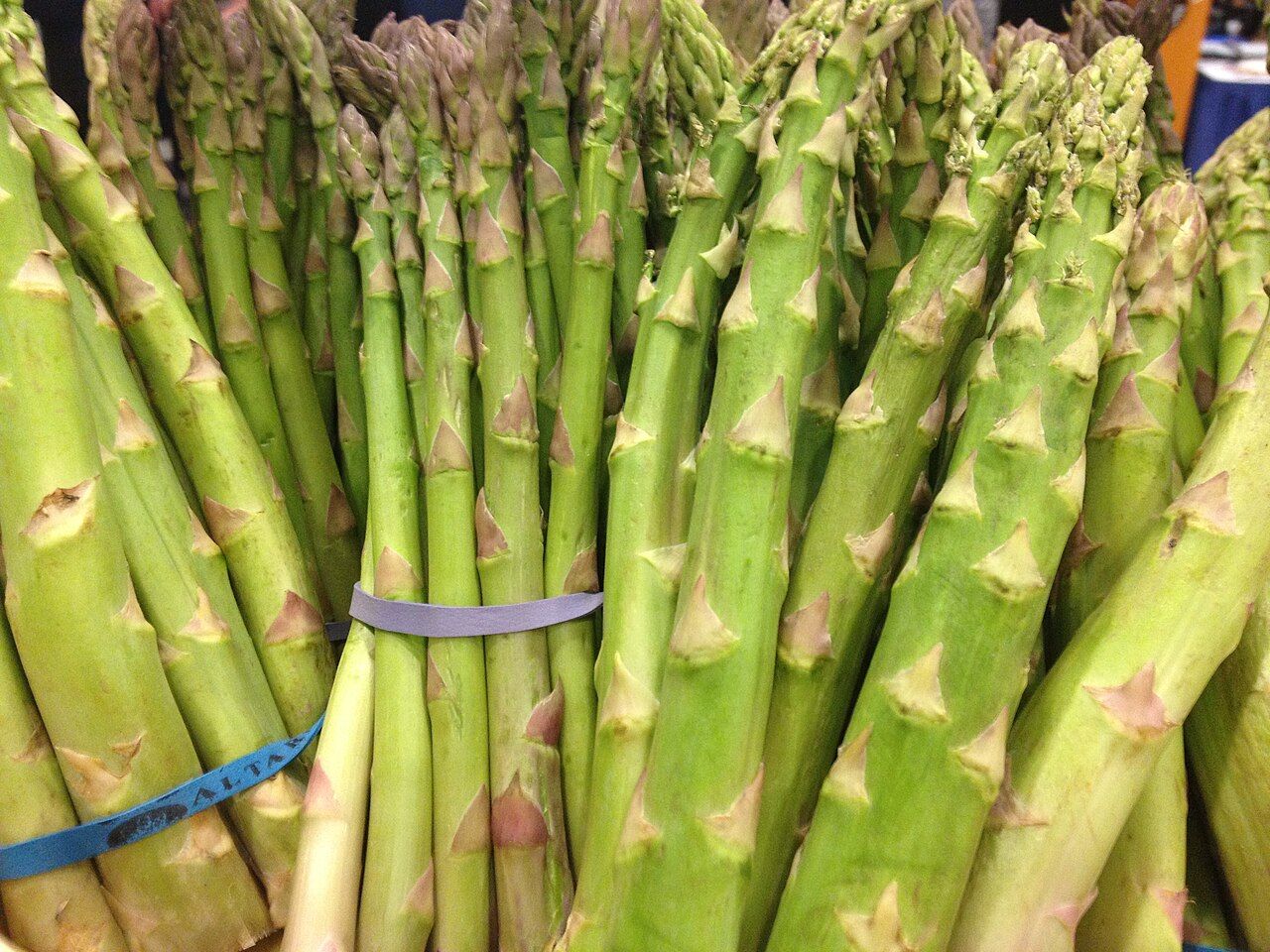 If it’s April, it’s Asparagus – Dietary Insights on Spring’s Iconic Vegetable