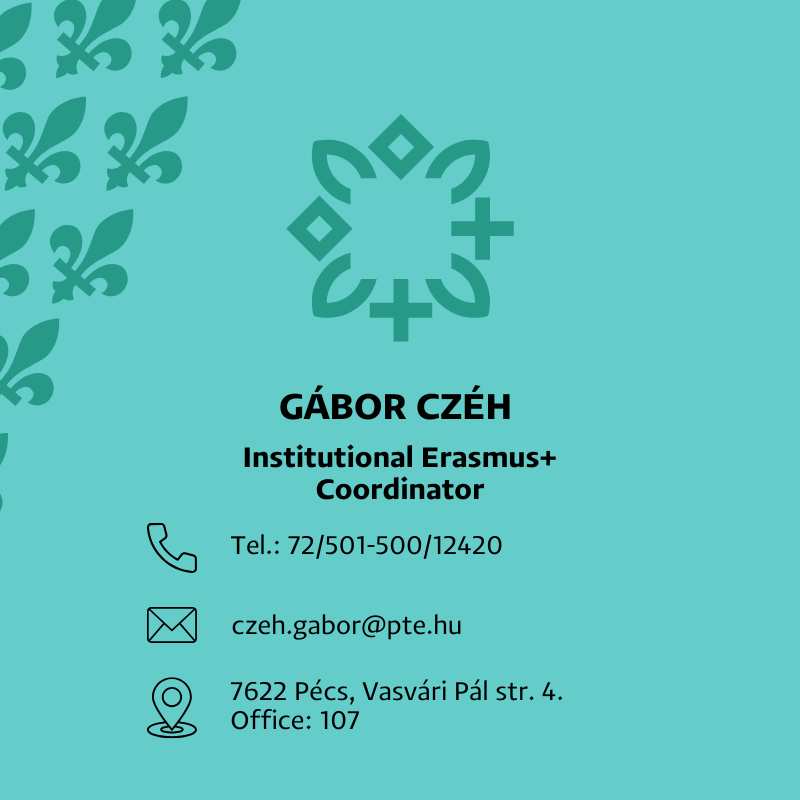 Outgoing short-term mobilities