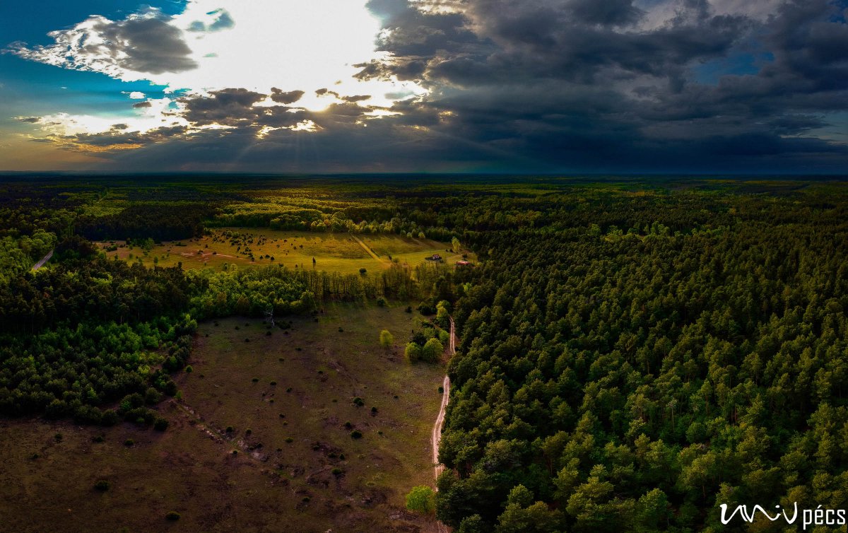 Comprehensive Action Plan on the Green Transition 